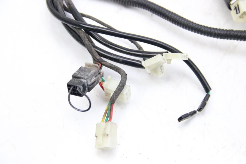 photo de WIRING HARNESS JM MOTORS EVOLIS 4T 50 (2018 - 2022)