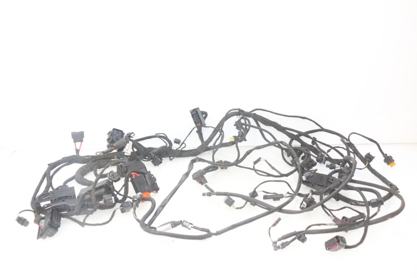 photo de WIRE HARNESS BMW F GS K81 850 (2018 - 2023)