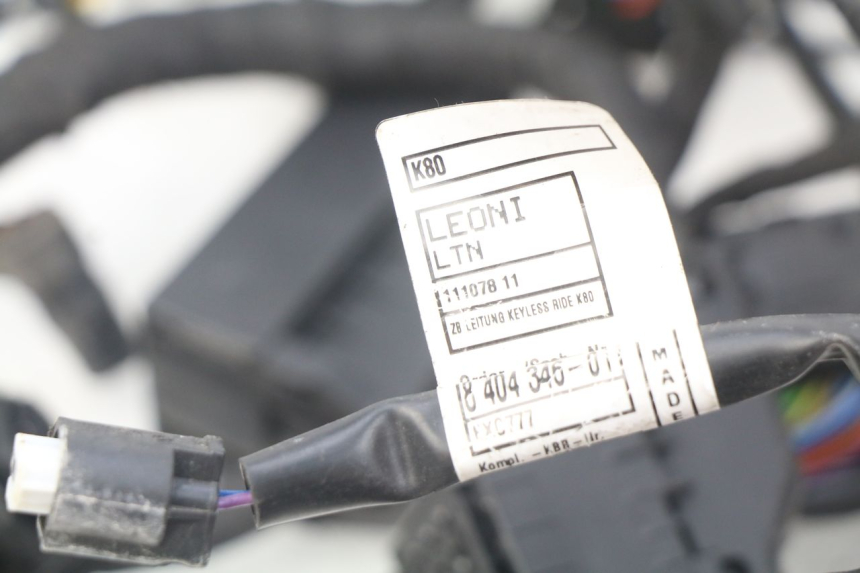 photo de WIRE HARNESS BMW F GS K81 850 (2018 - 2023)