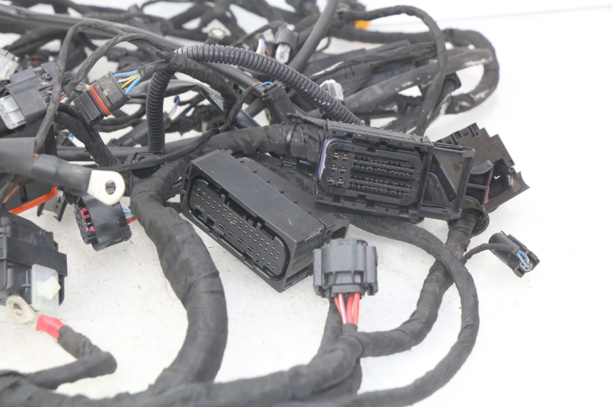 photo de WIRE HARNESS BMW F GS K81 850 (2018 - 2023)