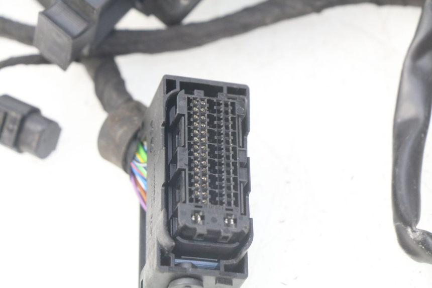 photo de WIRE HARNESS BMW F GS K81 850 (2018 - 2023)