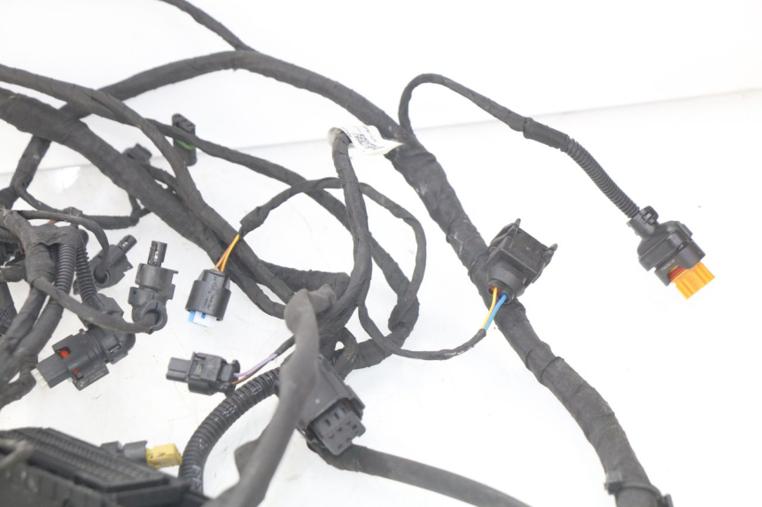 photo de WIRE HARNESS BMW F GS K81 850 (2018 - 2023)