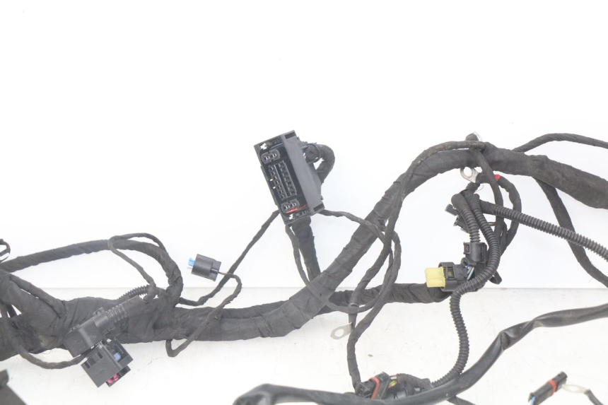 photo de WIRE HARNESS BMW F GS K81 850 (2018 - 2023)