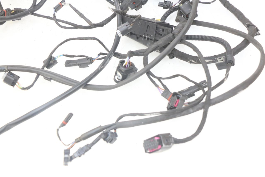 photo de WIRE HARNESS BMW F GS K81 850 (2018 - 2023)