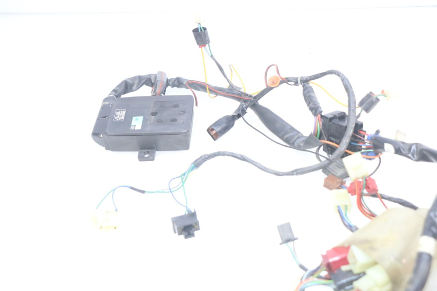 photo de WIRING HARNESS HONDA FES PANTHEON 2T 125 (1998 - 2002)