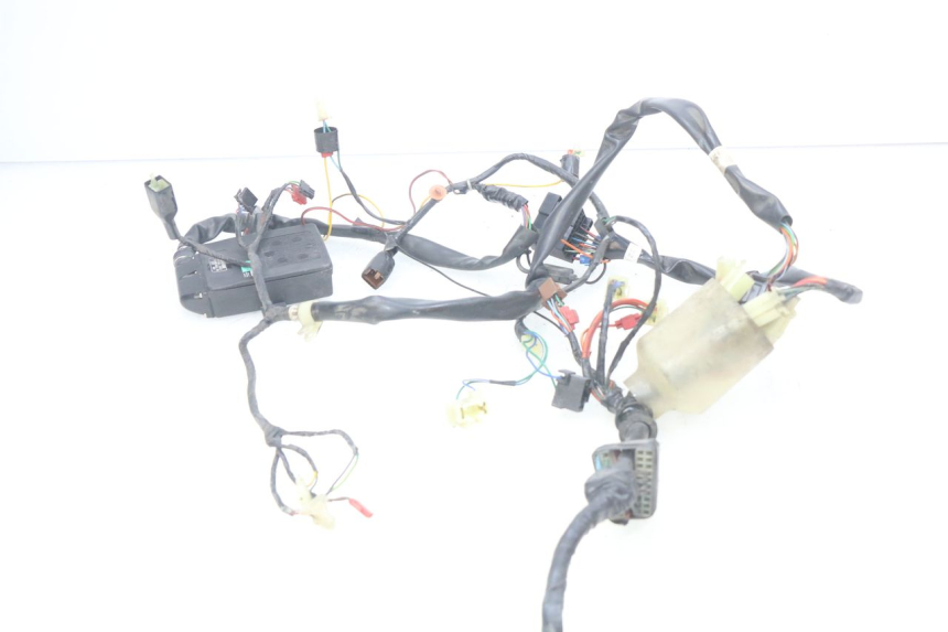 photo de WIRING HARNESS HONDA FES PANTHEON 2T 125 (1998 - 2002)