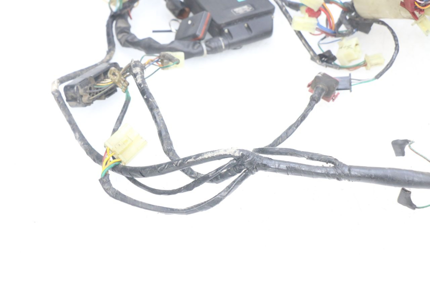 photo de WIRING HARNESS HONDA FES PANTHEON 2T 125 (1998 - 2002)