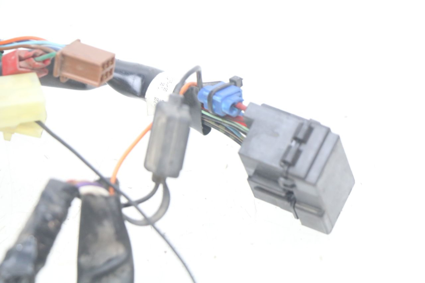 photo de WIRING HARNESS HONDA FES PANTHEON 2T 125 (1998 - 2002)