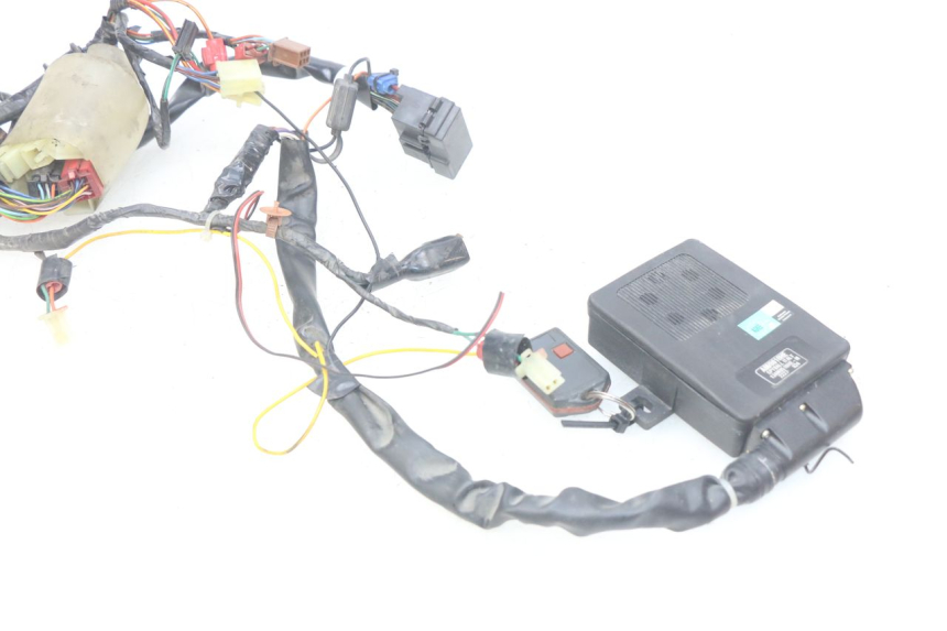 photo de WIRING HARNESS HONDA FES PANTHEON 2T 125 (1998 - 2002)