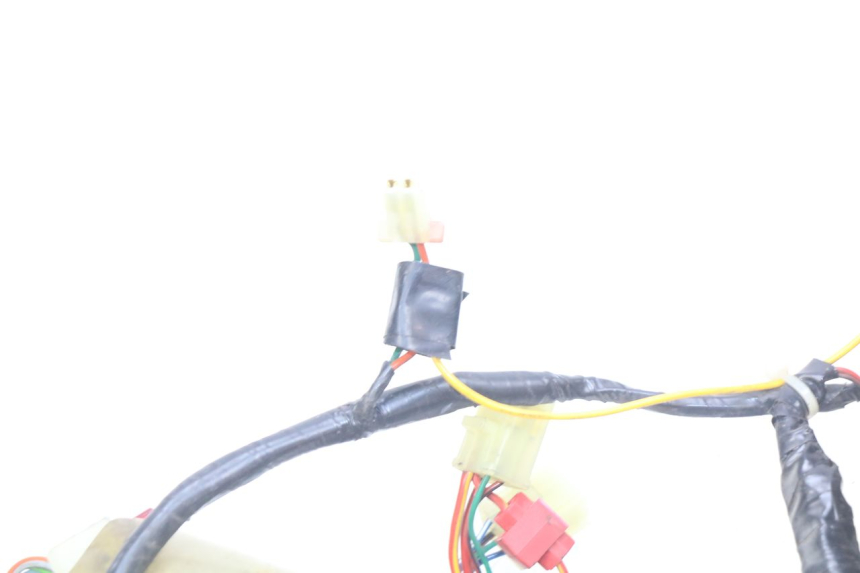 photo de WIRING HARNESS HONDA FES PANTHEON 2T 125 (1998 - 2002)