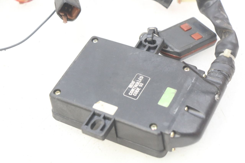 photo de WIRING HARNESS HONDA FES PANTHEON 2T 125 (1998 - 2002)