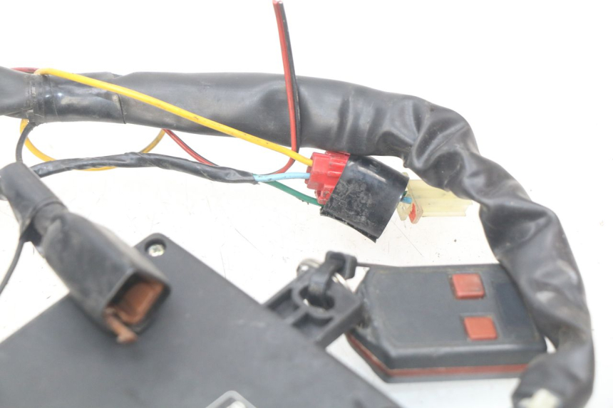 photo de WIRING HARNESS HONDA FES PANTHEON 2T 125 (1998 - 2002)