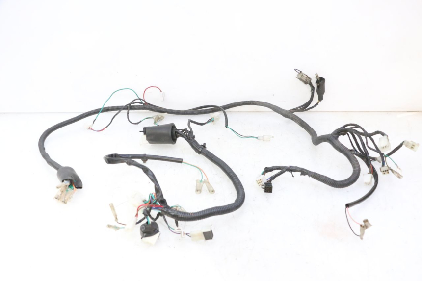 photo de WIRE HARNESS STAHO FH 50 (2018 - 2019)