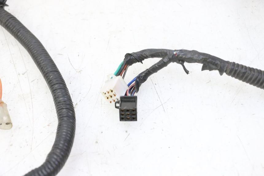 photo de WIRE HARNESS STAHO FH 50 (2018 - 2019)