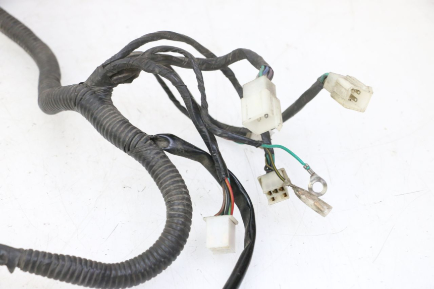 photo de WIRE HARNESS STAHO FH 50 (2018 - 2019)