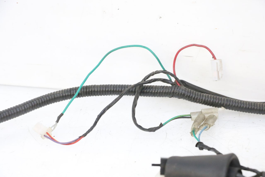 photo de WIRE HARNESS STAHO FH 50 (2018 - 2019)