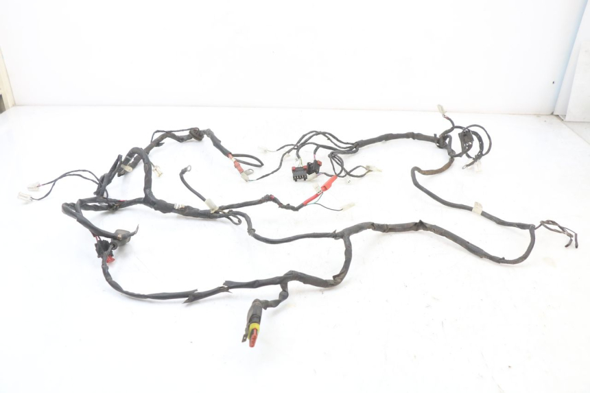 photo de WIRE HARNESS PIAGGIO FLY 4T 50 (2004 - 2010)