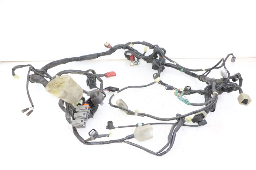 photo de WIRE HARNESS HONDA FORZA ABS 300 (2013 - 2019)