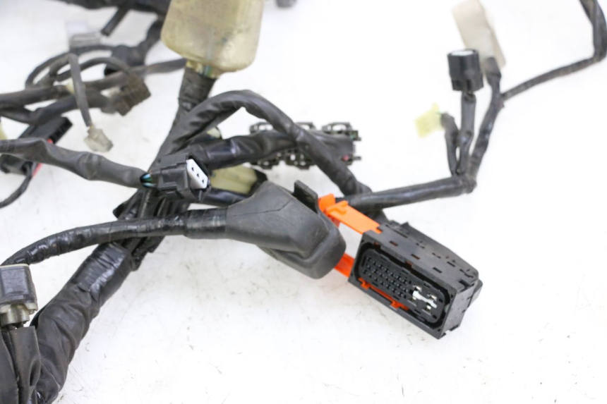 photo de WIRE HARNESS HONDA FORZA ABS 300 (2013 - 2019)