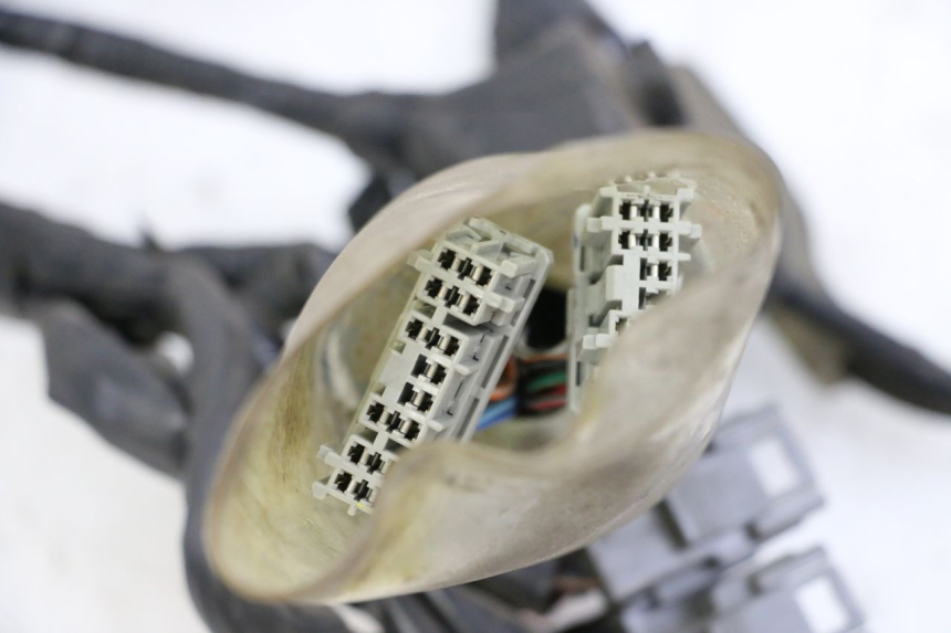 photo de WIRE HARNESS HONDA FORZA ABS 300 (2013 - 2019)