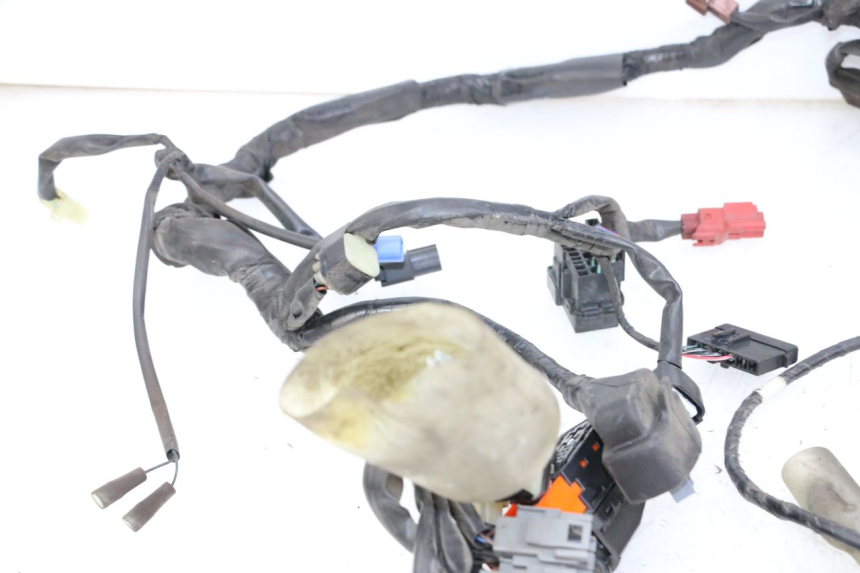 photo de WIRE HARNESS HONDA FORZA ABS 300 (2013 - 2019)