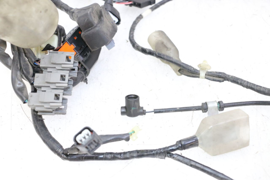 photo de WIRE HARNESS HONDA FORZA ABS 300 (2013 - 2019)