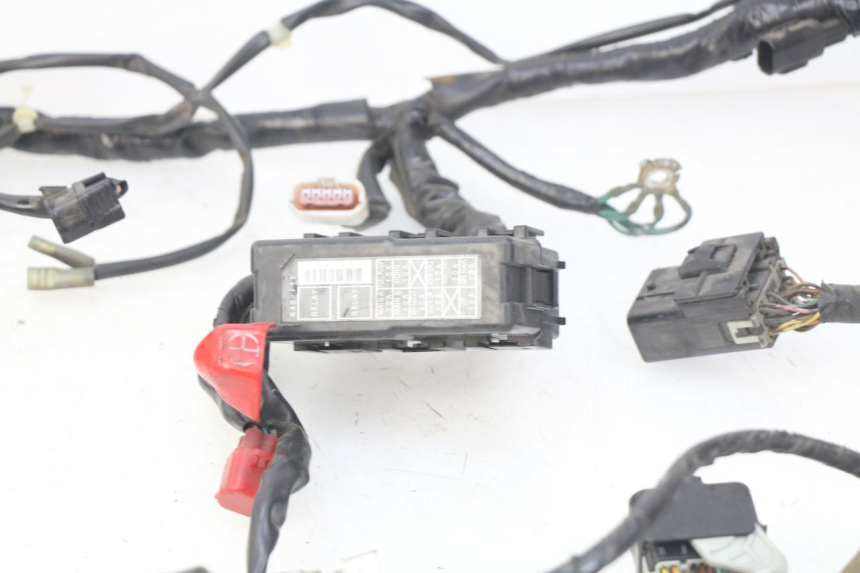 photo de WIRING HARNESS HONDA FORZA 125 (2015 - 2016)