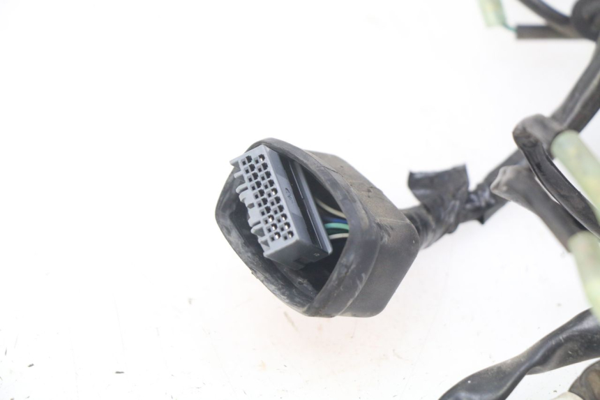photo de WIRING HARNESS HONDA FORZA 125 (2015 - 2016)
