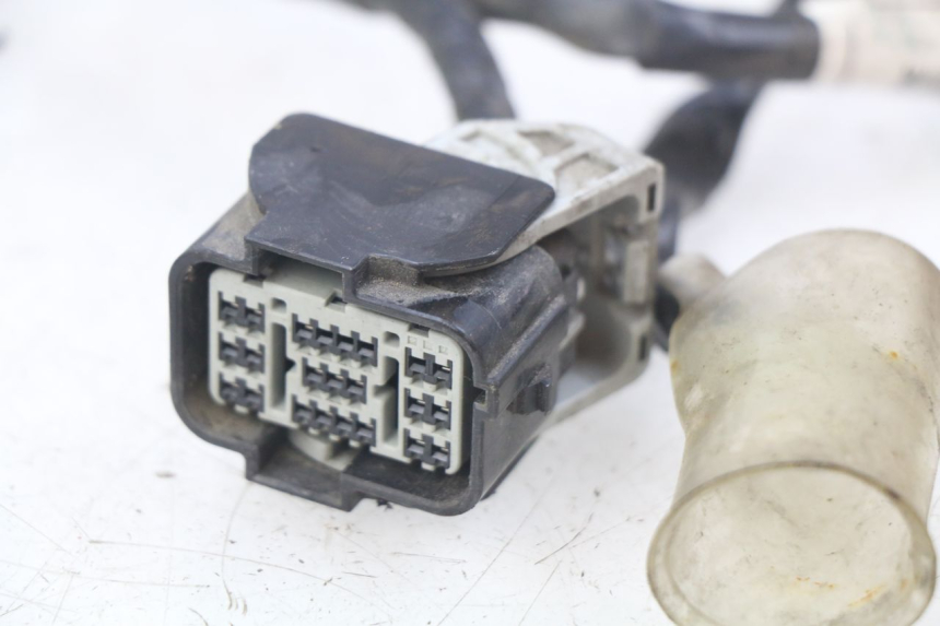 photo de WIRING HARNESS HONDA FORZA 125 (2015 - 2016)