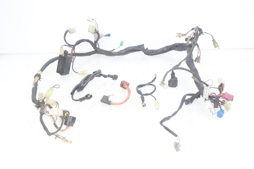 photo de WIRING HARNESS YAMAHA FZS FAZER 600 (1998 - 2001)