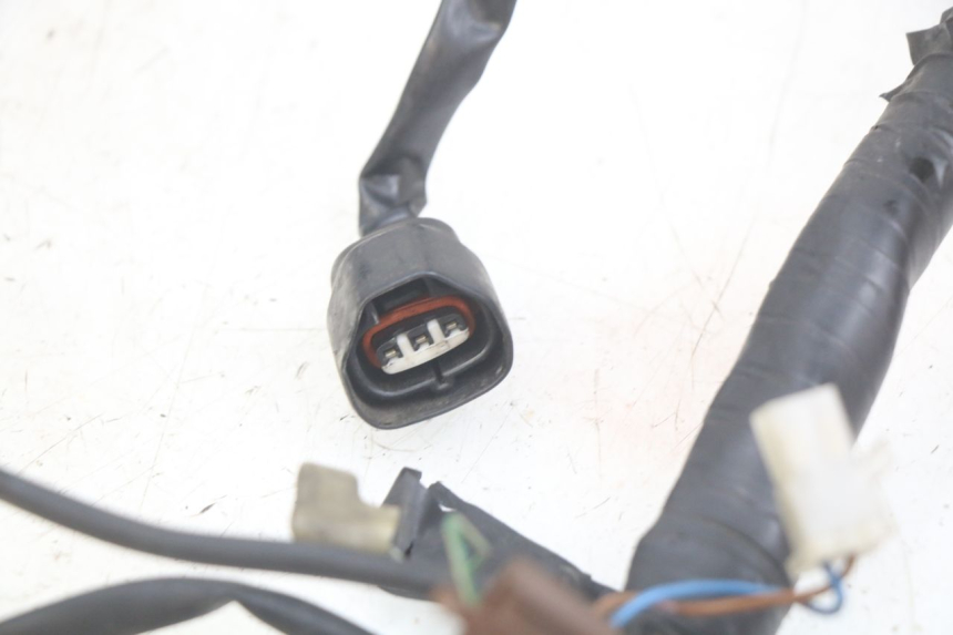 photo de WIRING HARNESS YAMAHA FZS FAZER 600 (1998 - 2001)