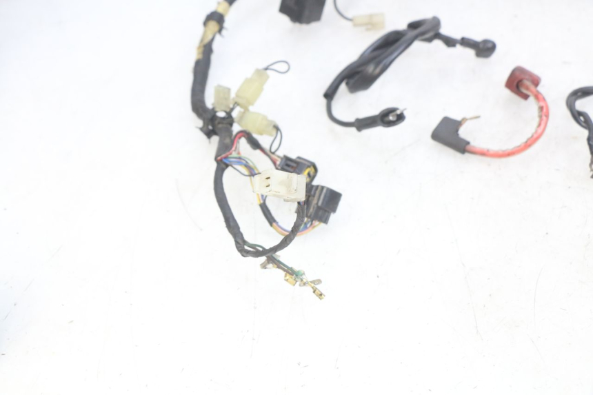 photo de WIRING HARNESS YAMAHA FZS FAZER 600 (1998 - 2001)