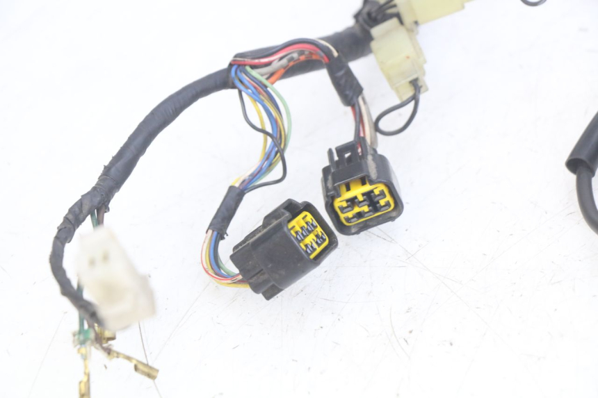 photo de WIRING HARNESS YAMAHA FZS FAZER 600 (1998 - 2001)