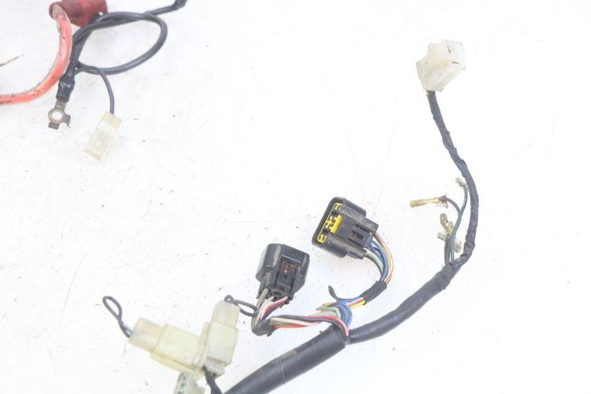 photo de WIRING HARNESS YAMAHA FZS FAZER 600 (1998 - 2001)
