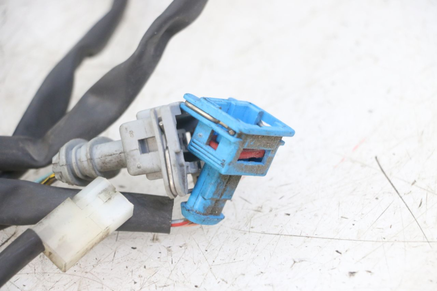 photo de WIRE HARNESS PEUGEOT GEOPOLIS RS 125 (2007 - 2009)