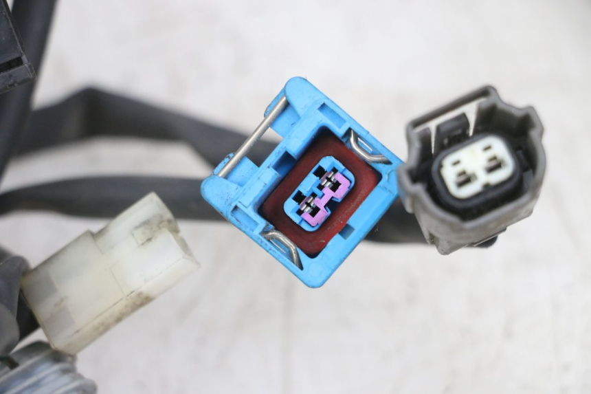 photo de WIRE HARNESS PEUGEOT GEOPOLIS RS 125 (2007 - 2009)