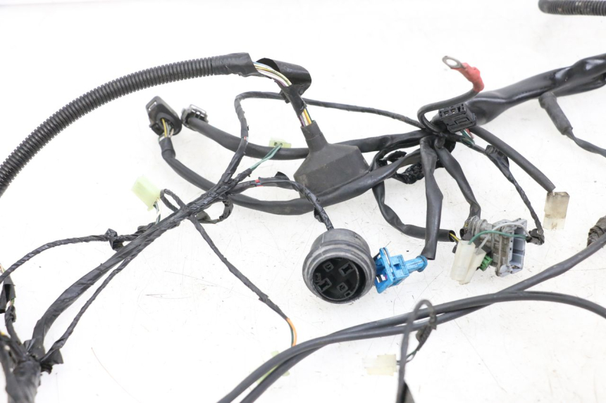 photo de WIRE HARNESS PEUGEOT GEOPOLIS RS 125 (2007 - 2009)