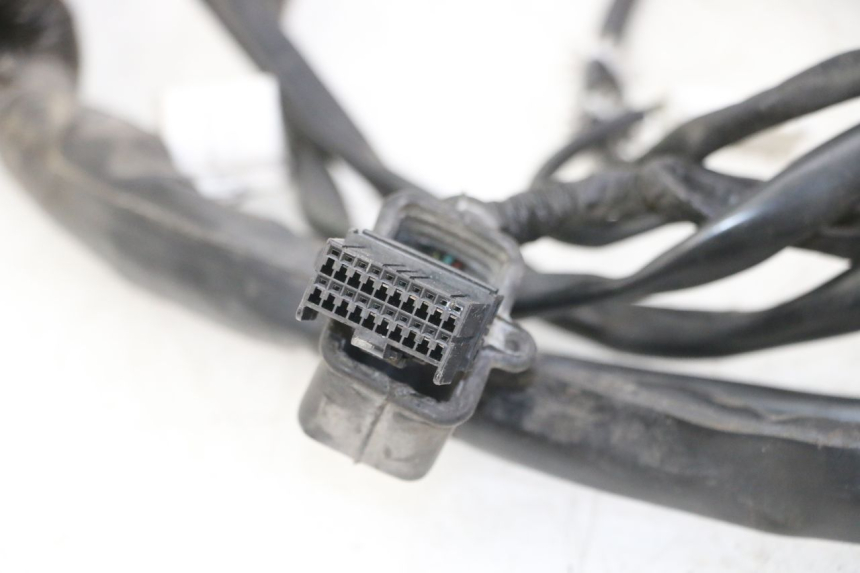 photo de WIRE HARNESS GILERA NEXUS 300 (2008 - 2013)