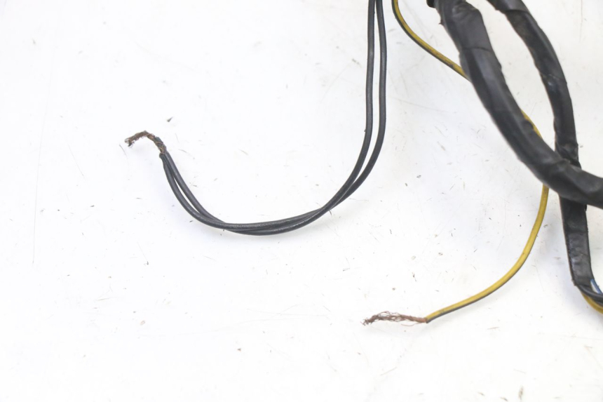 photo de WIRE HARNESS GILERA STALKER 50 (1997 - 2005)