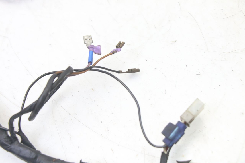 photo de WIRE HARNESS GILERA STALKER 50 (1997 - 2005)