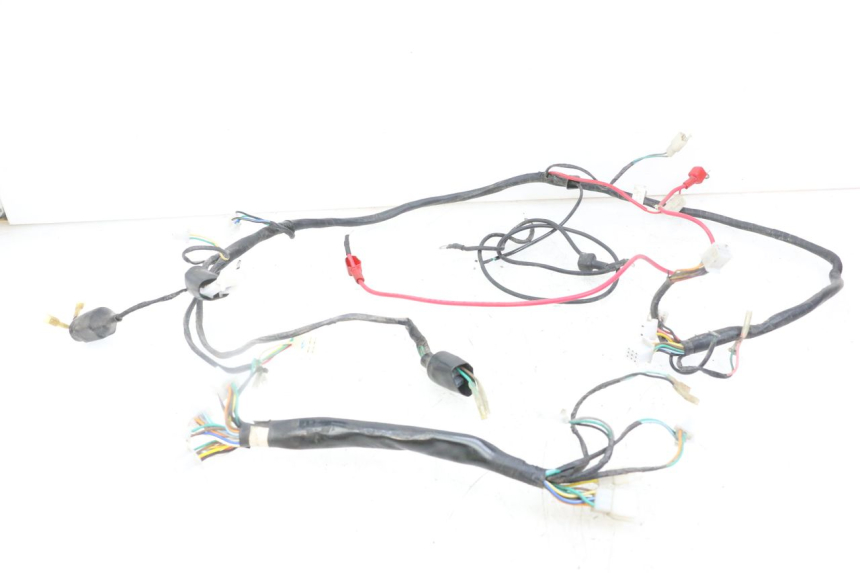 photo de WIRE HARNESS GOES WIKI 125 (2010 - 2015) - Main view