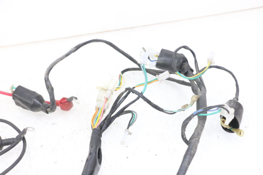 photo de WIRE HARNESS GOES WIKI 125 (2010 - 2015) - Component detail