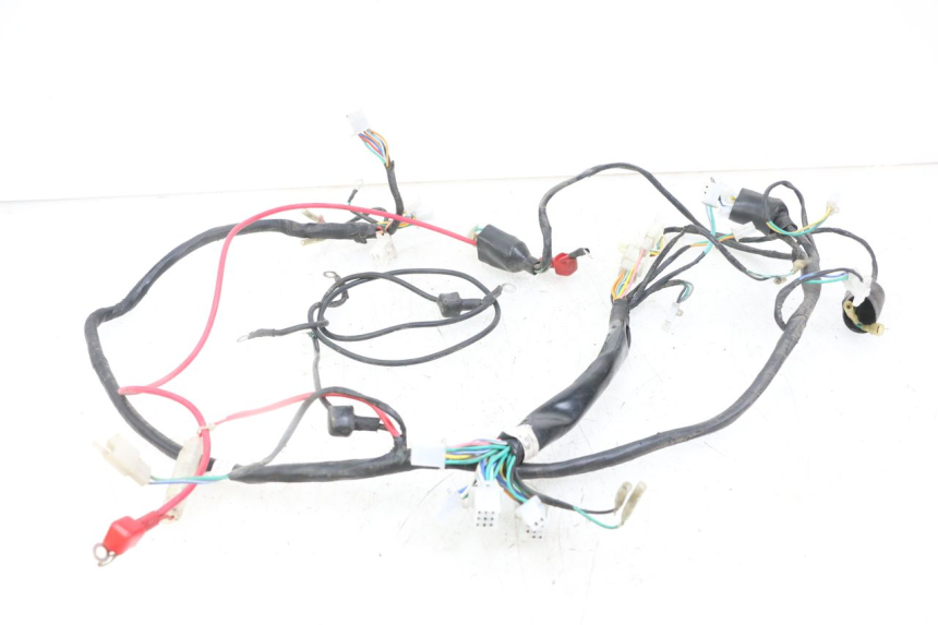 photo de WIRE HARNESS GOES WIKI 125 (2010 - 2015) - Zoom on usage condition