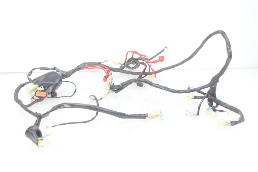 photo de WIRING HARNESS EUROCKA GTR 50 (2007 - 2017)