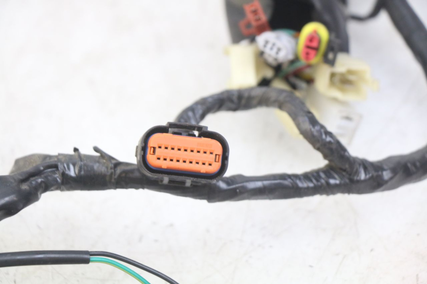 photo de WIRING HARNESS EUROCKA GTR 50 (2007 - 2017)