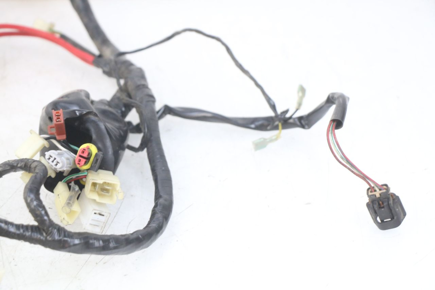 photo de WIRING HARNESS EUROCKA GTR 50 (2007 - 2017)
