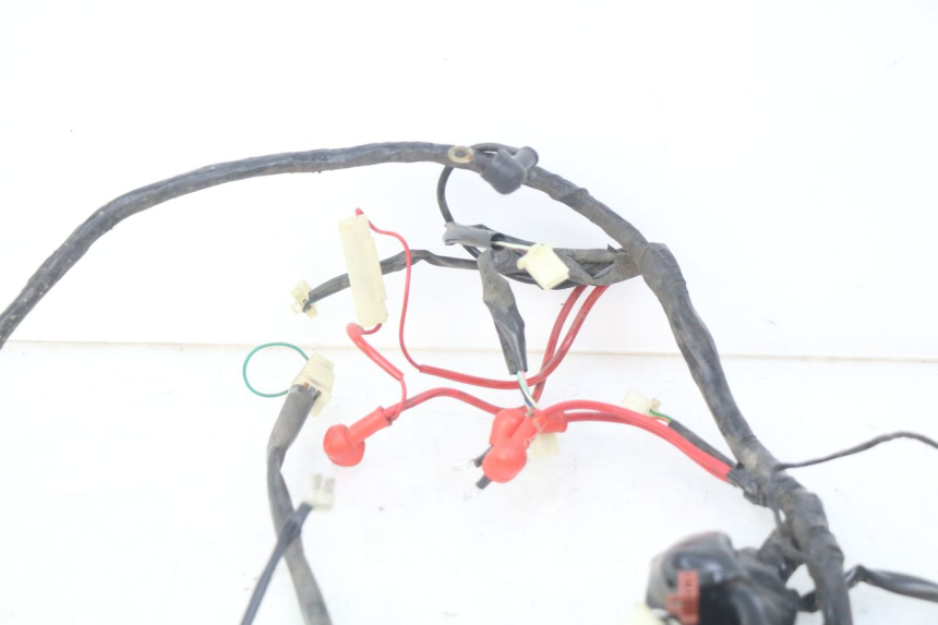 photo de WIRING HARNESS EUROCKA GTR 50 (2007 - 2017)