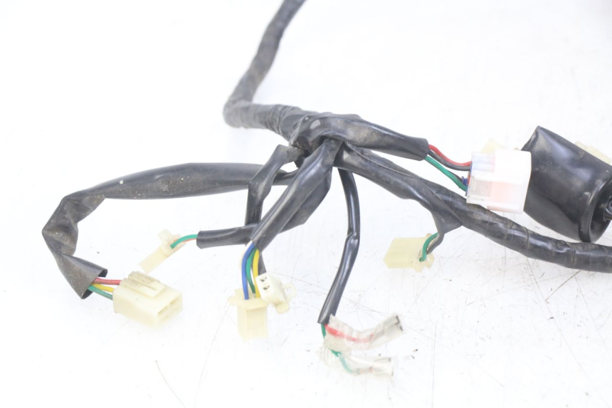 photo de WIRING HARNESS EUROCKA GTR 50 (2007 - 2017)