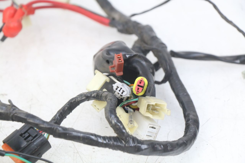 photo de WIRING HARNESS EUROCKA GTR 50 (2007 - 2017)