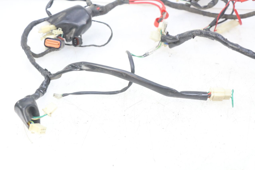photo de WIRING HARNESS EUROCKA GTR 50 (2007 - 2017)